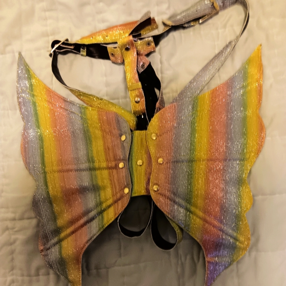 Daisy Corset Multicolored Glitter Holo Large Butterfly Wing Body Harness